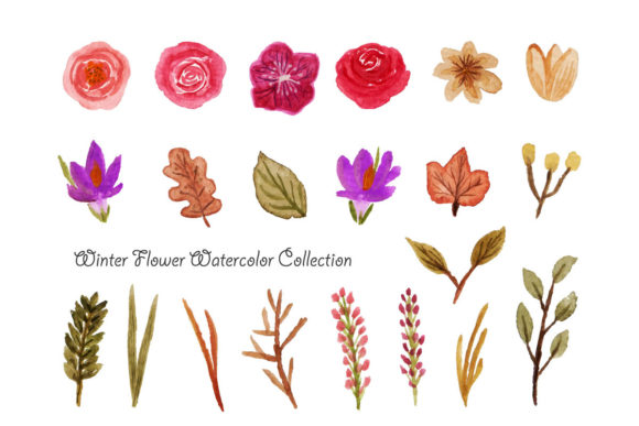 Download Winter Flower Watercolor - Premium Bundle