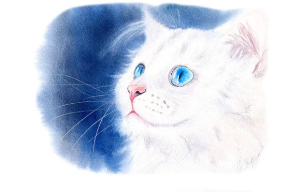 Download White Kitty Digital Prints PNG Files - White Collection
