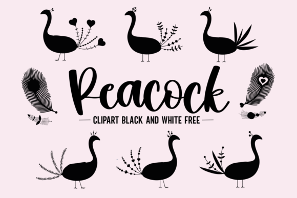 Download Peacock Clipart Black and White Free - White Collection