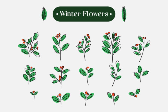 Download Set of Hand Drawn Winter Flower - Premium Resources