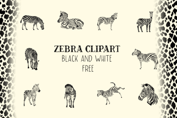 Download Zebra Clipart Black and White Free - White Collection