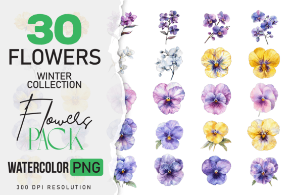 Download Watercolor Winter Flower &amp; Wildlife Pack - Premium Resources