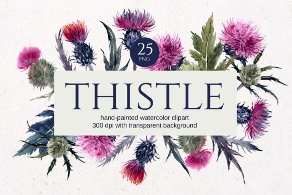 Download Thistle Watercolor Floral Clipart - Watercolor floral clipart Collection