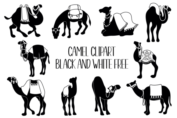 Download Camel Clipart Black and White Free - White Collection